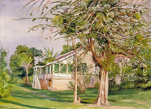 Bermuda Mount, Jamaica, 1872, Marianne North