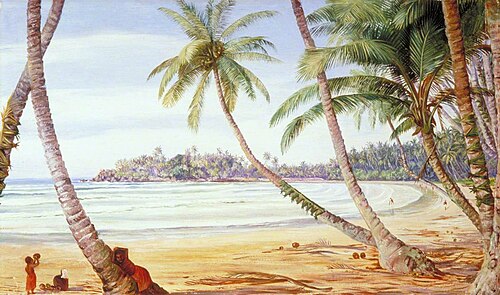 Cocoanut Palms on the Coast near Galle, Ceylon, 1877, Marianne North
