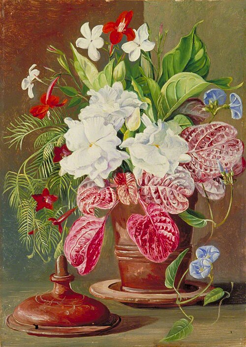 Brazilian Flowers, 1873, Marianne North