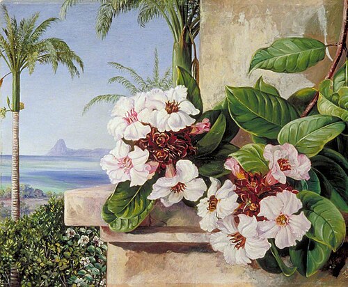 Foliage and Flowers of a Climbing Plant with Royal Palms and Sugarloaf Mountain in the Background, B, 1873, Marianne North