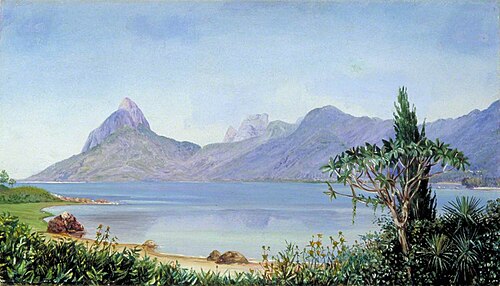 Lagoa de Freitas near Rio, Brazil, 1873, Marianne North