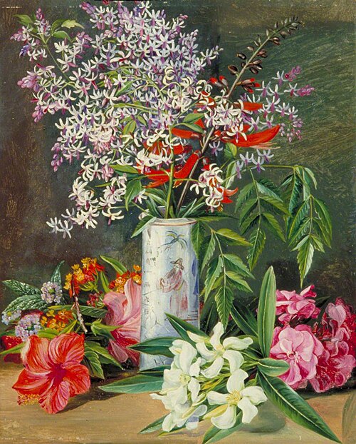 Selection of Cultivated Flowers, Painted in Jamaica, 1872, Marianne North