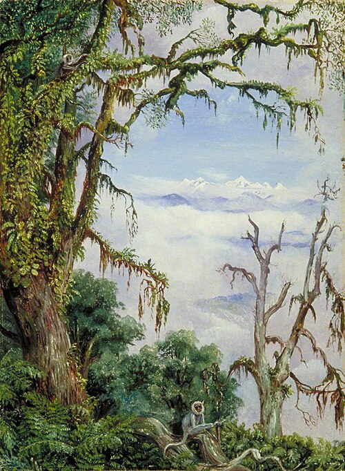 Panch Choola from Binsur, with Oak Trees and Grey Apes in the Foreground, 1878, Marianne North