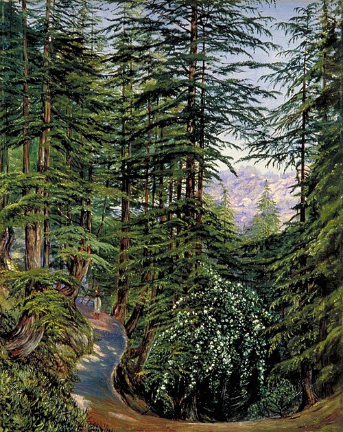 Deodar Grove at Simla with Wild Rose in the Foreground, 1878, Marianne North