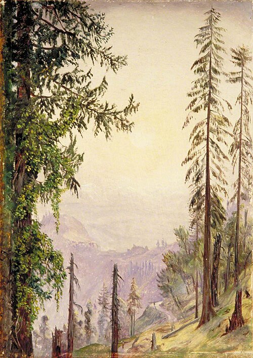 Sunrise among the Pines near Fagoo in the Himalayas, 1878, Marianne North