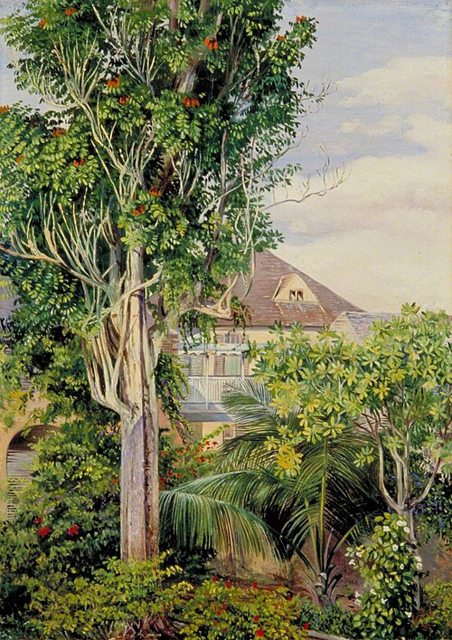 The Garden of King's House, Spanish Town, Jamaica, 1872, Marianne North