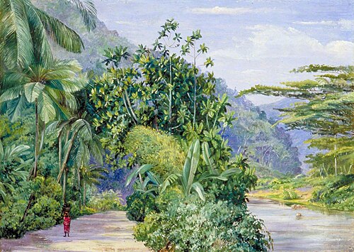 The Bog-Walk, Jamaica, with Bread Fruit, Banana, Cocoanut and Other Trees, 1873, Marianne North