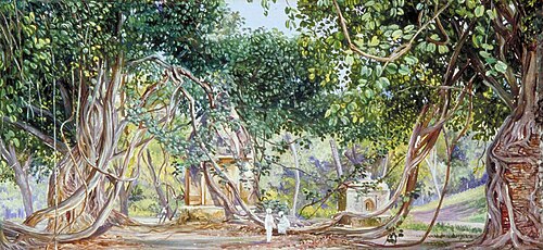 Bauhinia Creeper Crushing Tombs, Saharanpur, India, 1878, Marianne North