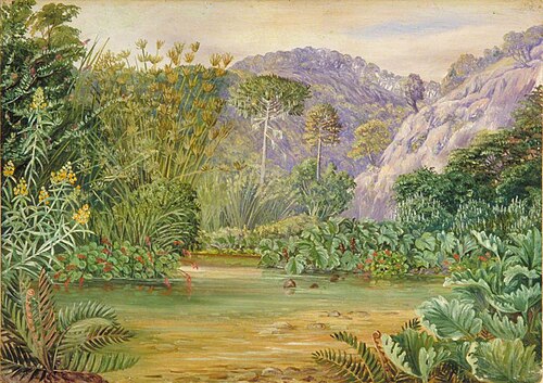 Vegetation on a Stream at Chanleon, Chili, 1873, Marianne North