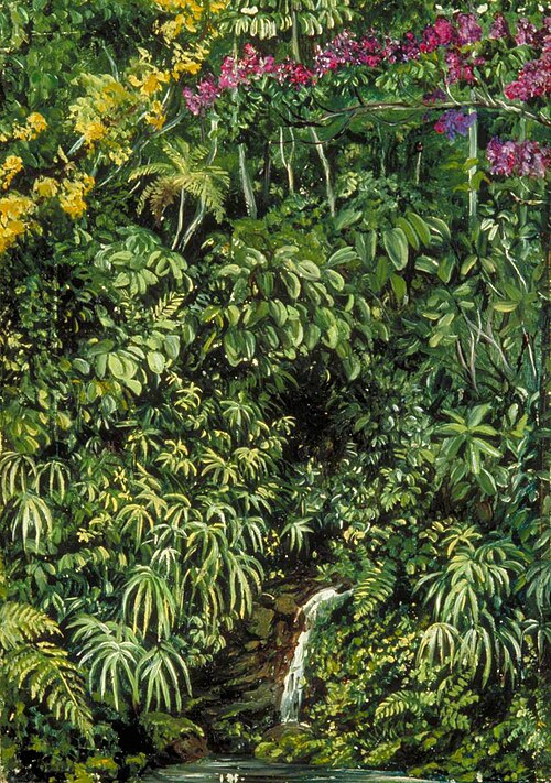 Glimpse in a Glen at Gongo, Brazil, 1873, Marianne North