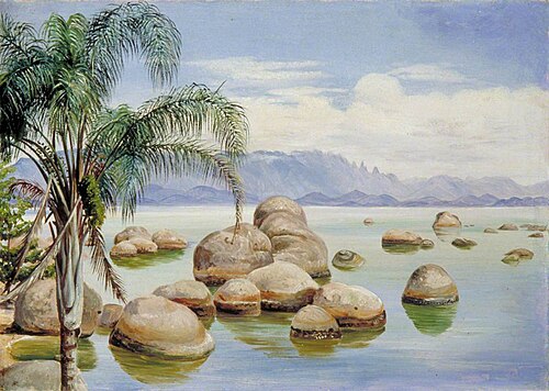 Palm Trees and Boulders in the Bay of Rio, Brazil, 1873, Marianne North