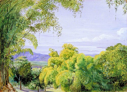 View over Port Royal, Jamaica, with Bamboos in the Foreground, 1872, Marianne North