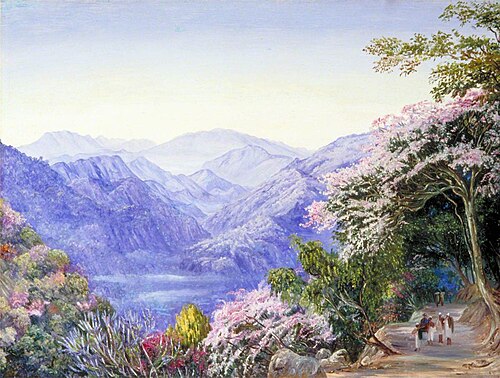 Road up to Nainee Tal, India, in Spring Time, 1878, Marianne North