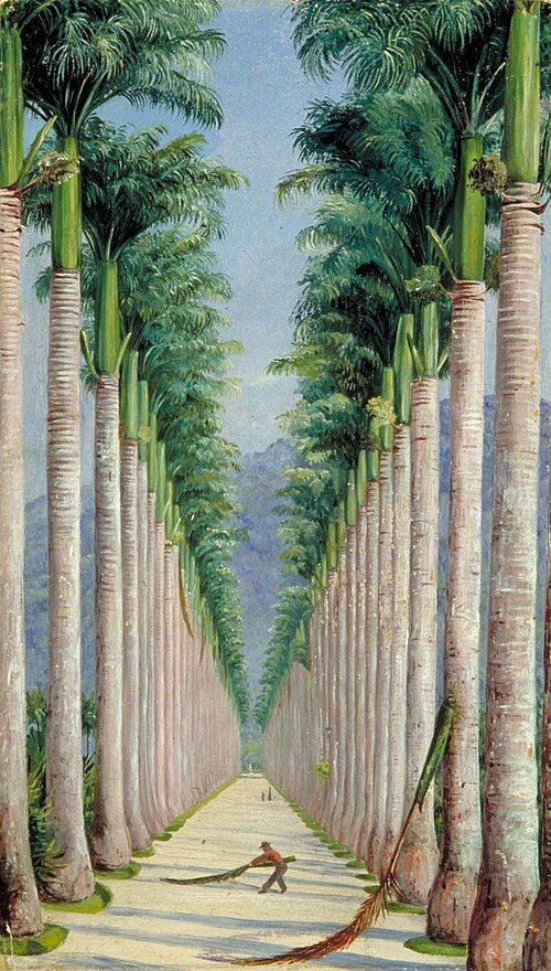 Avenue of Royal Palms at Botafogo, Brazil, 1873, Marianne North