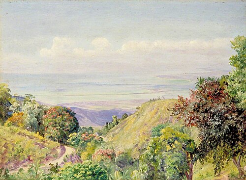 View over Kingston and Port Royal from Craighton, Jamaica, 1872, Marianne North
