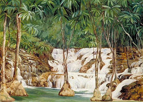 One of the Sources of the Roaring River, Jamaica, 1872, Marianne North