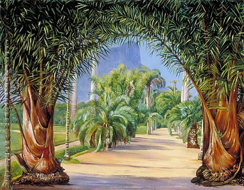 Palms in the Botanic Garden at Rio Janeiro, 1873, Marianne North