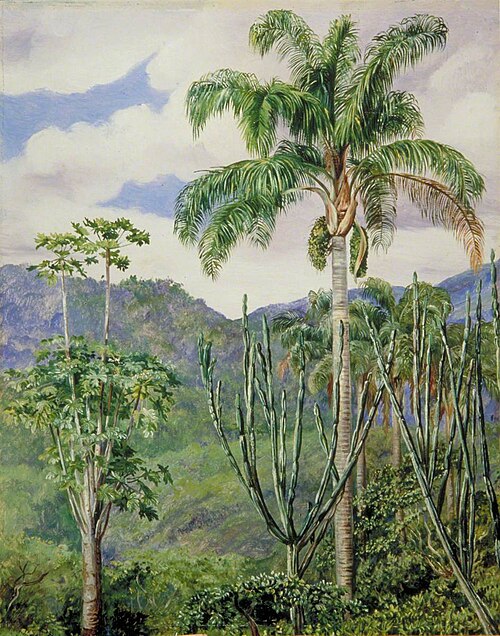 View in Brazil near Ouro Preto, with Oil Palms, 1873, Marianne North