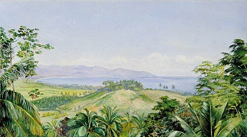 View from Spring Gardens, Buff's Bay, Jamaica, 1872, Marianne North