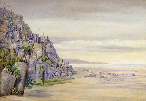 View in the Salinas, Chili, 1873, Marianne North