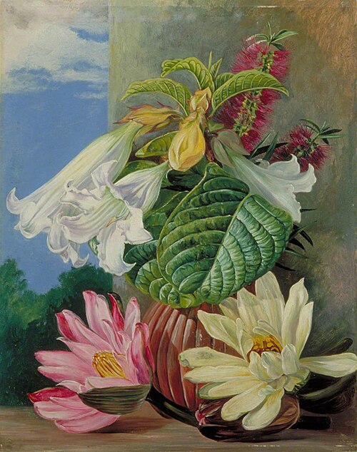 Flowers Cultivated in the Botanic Garden, Rio Janeiro, Brazil, 1873, Marianne North