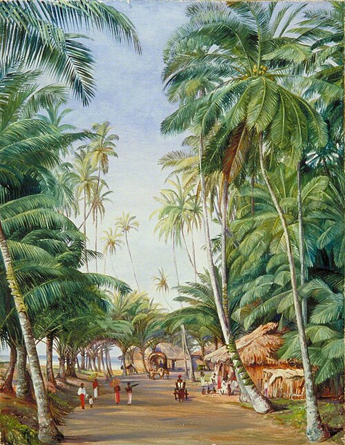 Roadside Scene under the Cocoanut Trees at Galle, Ceylon, 1877, Marianne North
