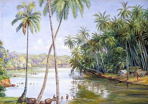 Cocoanut Palms on the River Bank near Galle, Ceylon, 1877, Marianne North