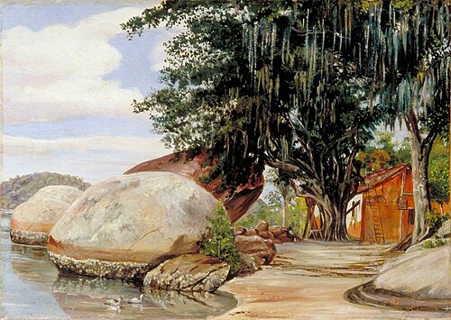 Boulders, Fisherman's Cottage and Tree Hung with Air Plant at Parquita, Brazil, 1873, Marianne North