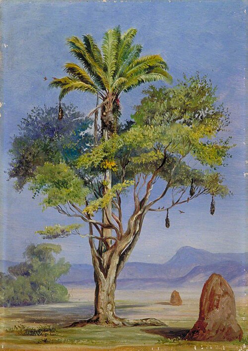 'Scotchman Hugging a Creole', Brazil, 1873, Marianne North
