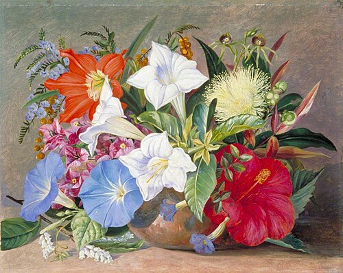Group of Flowers, Wild and Cultivated, in Jamaica, 1872, Marianne North