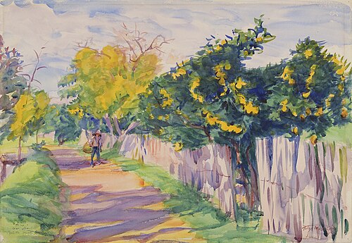 A Lane Through an Orange Grove, Orihuela, 1904, Dodge MacKnight