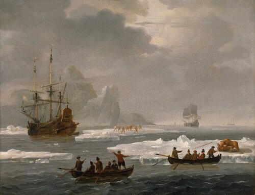 A Bear Hunt in the Arctic, 1696, Wigerus Vitringa
