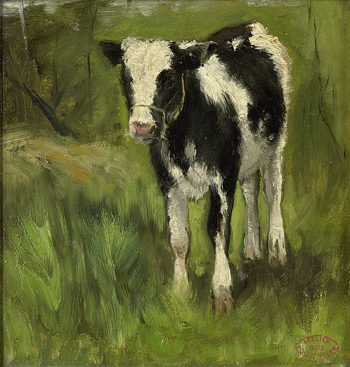 Calf, spotted black and white, 1888, Geo Poggenbeek