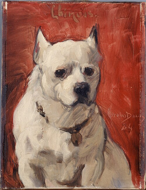 Le chien "chinois", 1884, Carolus-Duran