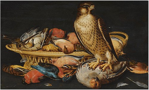 A still life with a live hawk perched on a dead partridge and other dead game in a woven basket, 1625, Nicolaes Cave