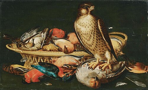 Still life with birds and a Falcon, 1625, Nicolaes Cave