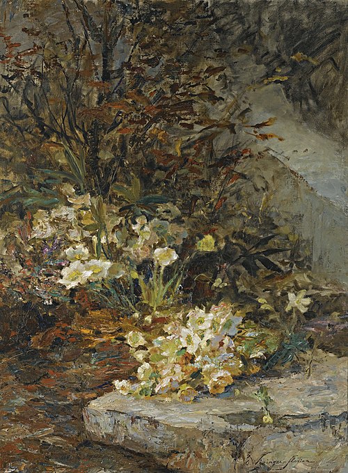 Hellebores, , Olga Wisinger-Florian