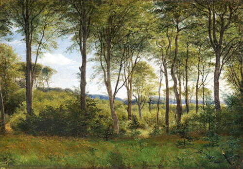 The woods at Delhoved near Lake Skarrit., 1850, Peter Christian Skovgaard