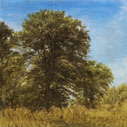 Tall trees under a clear sky on a summer day., 1850, Peter Christian Skovgaard