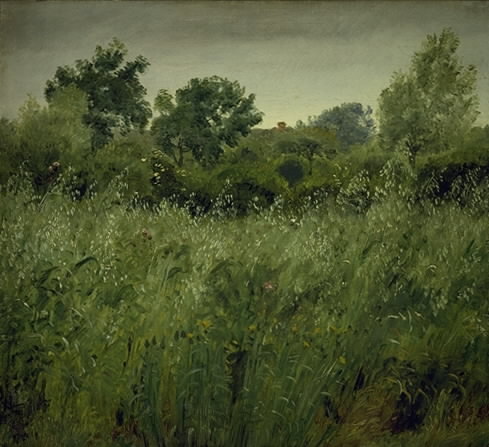 Field of Oats near Vejby, 1843, Peter Christian Skovgaard