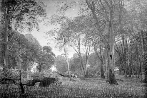Køer i en skov ved aften, 1853, Peter Christian Skovgaard
