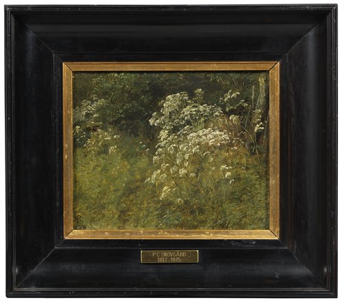 Cow Parsley. Study, , Peter Christian Skovgaard