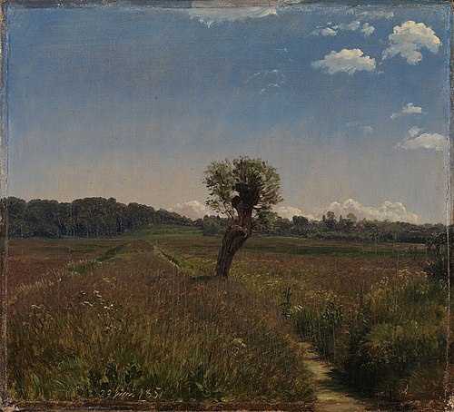 Meadow with a Solitary Willow, 1851, Peter Christian Skovgaard