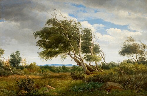 Parti fra udkanten af Tisvilde skov, 1845, Peter Christian Skovgaard