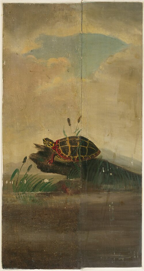 Tortoise Resting on a Log, 1853, William Stanley Haseltine