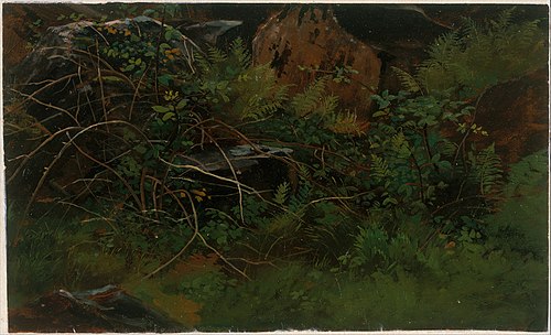 Study from Nature, 1867, William Stanley Haseltine