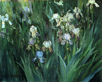 Iris at Dawn, 1899, Maria Oakey Dewing