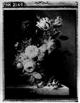 Stilleven met bloemen, 1725, Arnoldus Bloemers