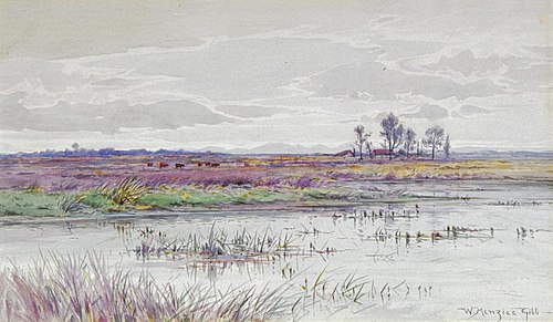 The Swamp, , William Gibb