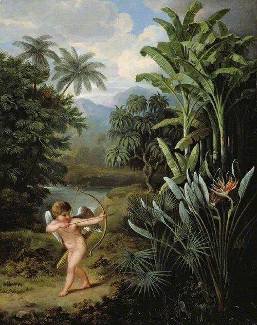 Cupid inspiring the plants with love, , P. A. Reinagle
